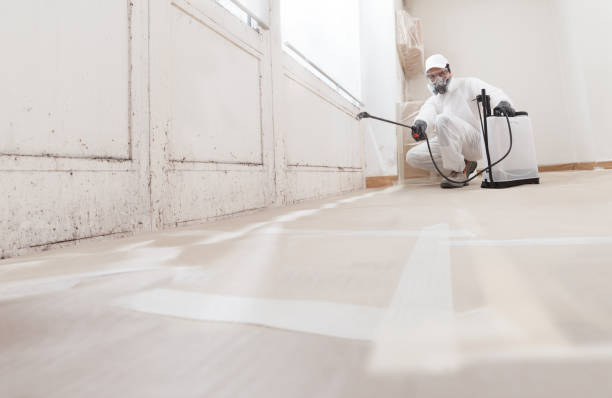 24/7 Emergency Mold Removal experts in Hampton, IL